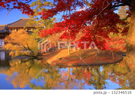 東大寺（奈良県奈良市）鏡池前の鮮やかな紅葉 132346516