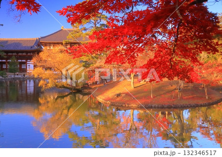 東大寺(奈良県奈良市)鏡池前の鮮やかな紅葉 東大寺(奈良県奈良市)鏡池前の鮮やかな紅葉 132346517