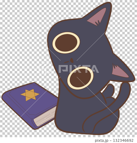 Black cat and magic book 132346692