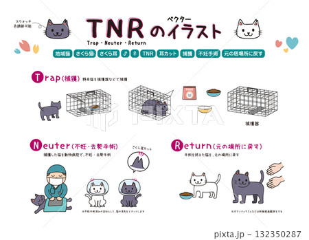 猫のTNR 132350287