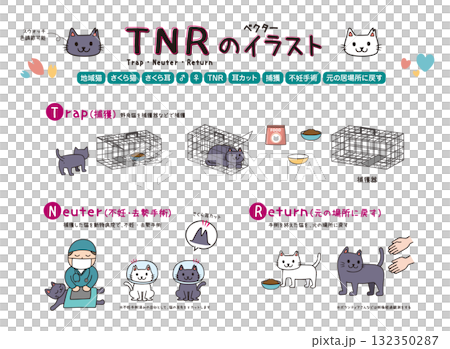 猫のTNR 132350287