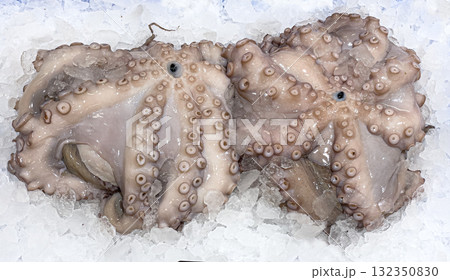 Raw octopuses displaying tentacles on fresh ice 132350830