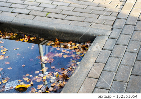 Beautiful Autumn Leaves Floating in a Puddle on Cobblestone Pathway Beautiful Autumn Leaves Floating in a Puddle on Cobblestone Pathway 132351054