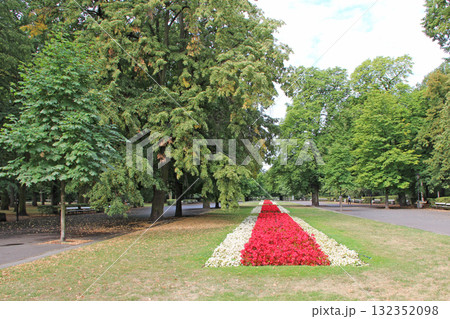 Beautiful view of blooming flowers in colors of Polish flag in Warsaw park 132352098