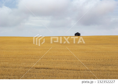 Old rustic wooden granary in the yellow field with stubbles in fall. Old rustic wooden granary in the yellow field with stubbles in fall. 132352227