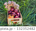 Harvest of onions and garlic in the crate  132352482