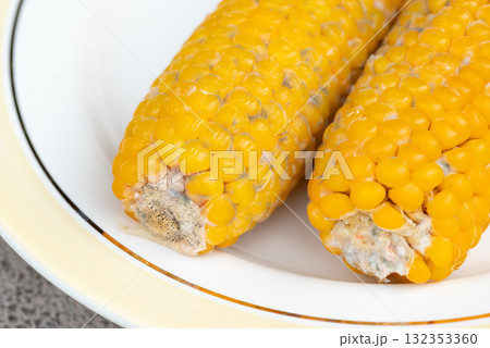 Close up shot of moldy corn in plate. Spoiled food, old boiled corn Close up shot of moldy corn in plate. Spoiled food, old boiled corn 132353360