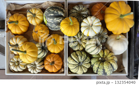 ハロウィンのかぼちゃイメージ素材 132354040