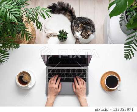 猫と観葉植物に囲まれた在宅ワークのイラスト｜リラックスできるワークライフバランスの空間 132355971