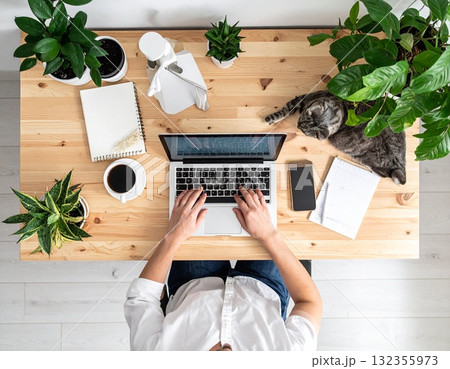 猫と観葉植物に囲まれた在宅ワークのイラスト｜リラックスできるワークライフバランスの空間 132355973