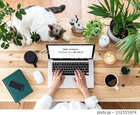 猫と観葉植物に囲まれた在宅ワークのイラスト｜リラックスできるワークライフバランスの空間 132355974
