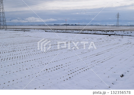 雪国の田園風景 山形県庄内 雪国の田園風景 山形県庄内 132356578