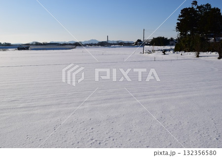 雪国の田園風景 山形県庄内 雪国の田園風景 山形県庄内 132356580