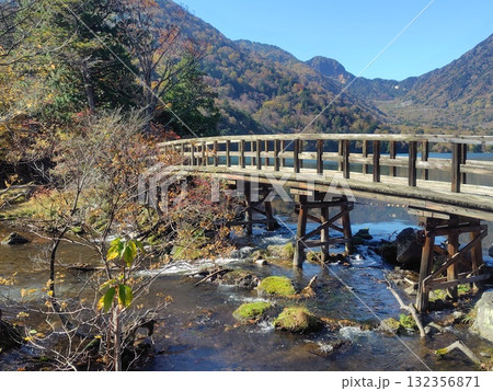 秋の奥日光湯ノ湖　湖畔の橋 132356871