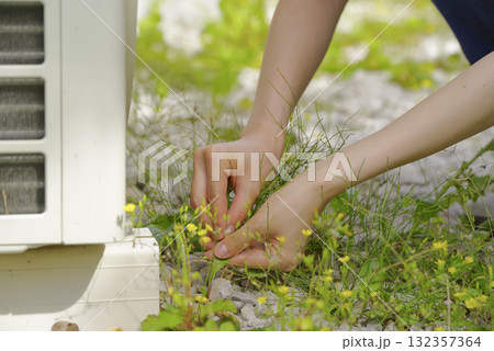 庭の草むしりをする女性の手元 132357364