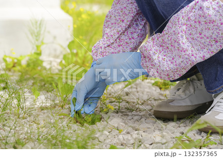 庭の草むしりをする女性の手元 132357365