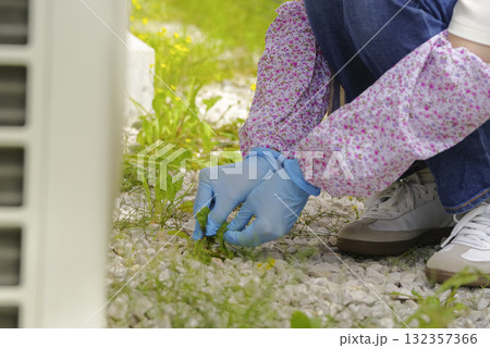 庭の草むしりをする女性の手元 庭の草むしりをする女性の手元 132357366