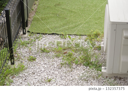 住宅のフェンス沿いに伸びた雑草 住宅のフェンス沿いに伸びた雑草 132357375