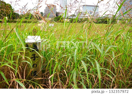 「二子の渡し」の碑(神奈川県川崎市高津区二子1丁目) 「二子の渡し」の碑(神奈川県川崎市高津区二子1丁目) 132357972