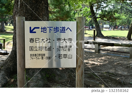 奈良公園 132358162