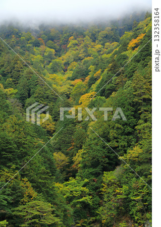 高瀬渓谷の紅葉 高瀬渓谷の紅葉 132358164