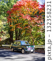 紅葉の中の緑のクラシックカー 132358231