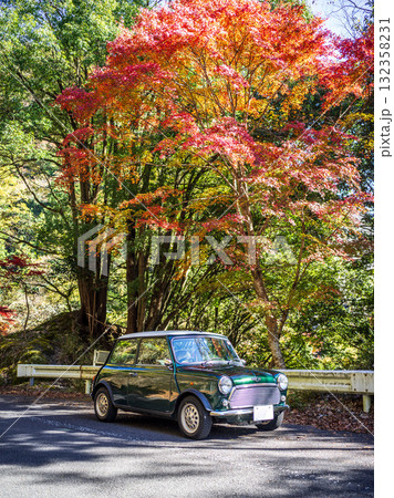紅葉の中の緑のクラシックカー 紅葉の中の緑のクラシックカー 132358231