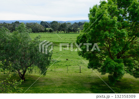 Green pastures - Yering 132358309