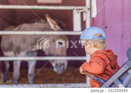 Young boy feeding a donkey on a farm, enjoying nature, animal interaction, and learning responsibility. Family bonding, wholesome childhood, and outdoor activity concept Young boy feeding a donkey on a farm, enjoying nature, animal interaction, and learning responsibility. Family bonding, wholesome childhood, and outdoor activity concept 132358393