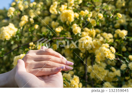 春の日差しと手を重ねる瞬間⑥ 春の日差しと手を重ねる瞬間⑥ 132359045