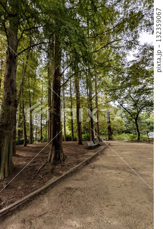 長居植物園の秋の植物のある風景 132359067