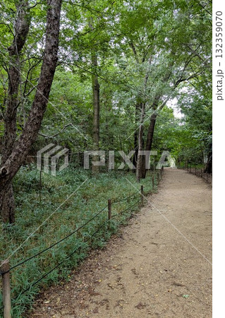 長居植物園の秋の植物のある風景 132359070