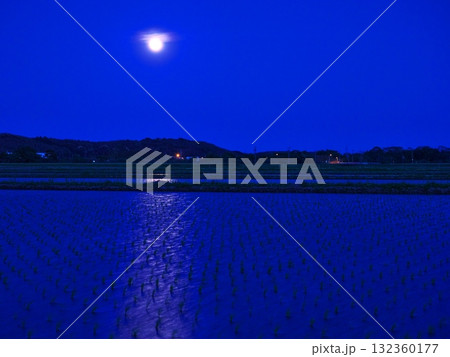 宵の口 水田に映る朧月 宵の口 水田に映る朧月 132360177