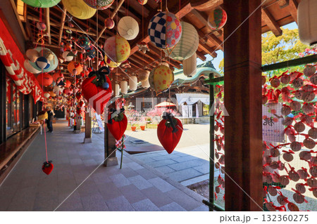 キクモモ咲く福岡県直方市の多賀神社さげもん飾り 132360275