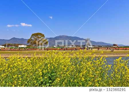 福岡県直方市遠賀川河川敷の菜の花と青空と福知山山並み 福岡県直方市遠賀川河川敷の菜の花と青空と福知山山並み 132360291