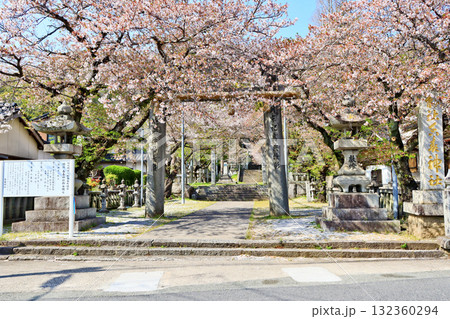 福岡県田川郡の桜咲く春の香春神社 福岡県田川郡の桜咲く春の香春神社 132360294