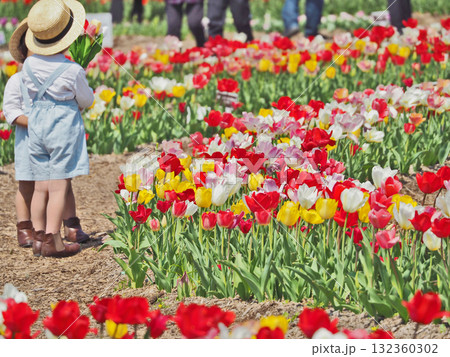 色とりどりの花が咲く春のチューリップ畑と子供 色とりどりの花が咲く春のチューリップ畑と子供 132360302