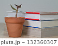 積まれた本と小さな鉢植え 132360307