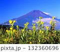 山梨県南都留郡忍草より月見草によく似合う富士山 132360696