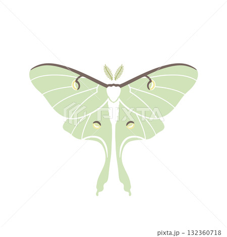 Insect Vector Icon Insect Vector Icon 132360718