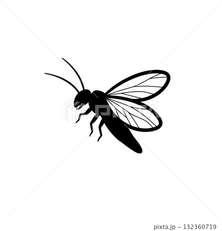 Insect Vector Icon 132360719