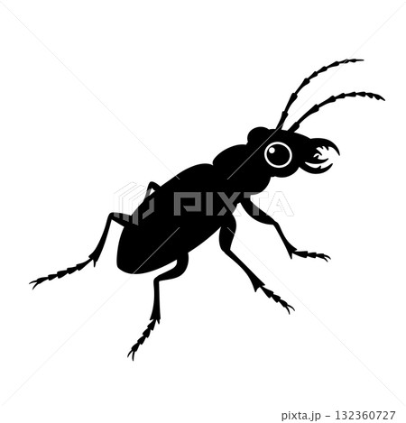 Insect Vector Icon Insect Vector Icon 132360727