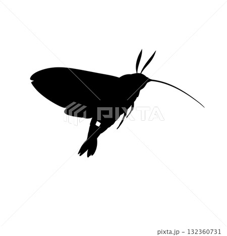 Insect Vector Icon 132360731