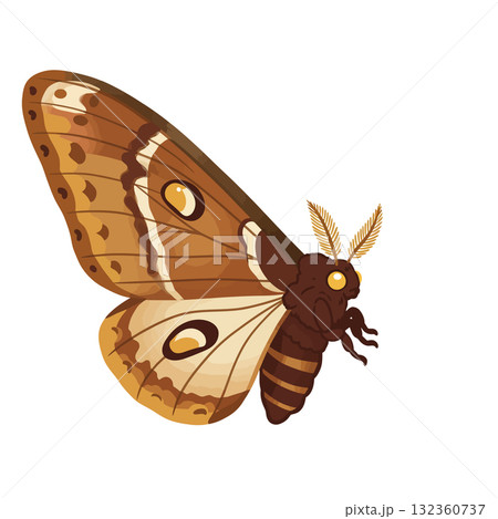Insect Vector Icon Insect Vector Icon 132360737