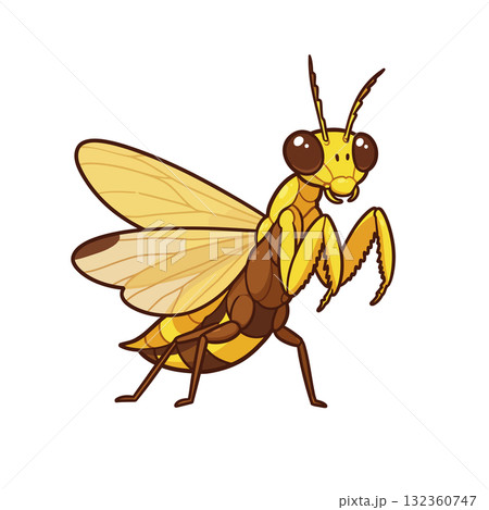 Insect Vector Icon Insect Vector Icon 132360747