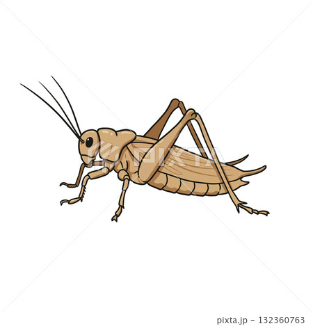 Insect Vector Icon 132360763