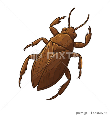 Insect Vector Icon Insect Vector Icon 132360766