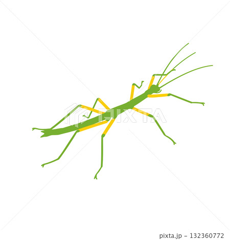 Insect Vector Icon 132360772