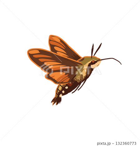 Insect Vector Icon 132360773