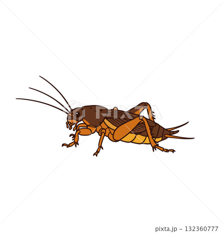Insect Vector Icon Insect Vector Icon 132360777